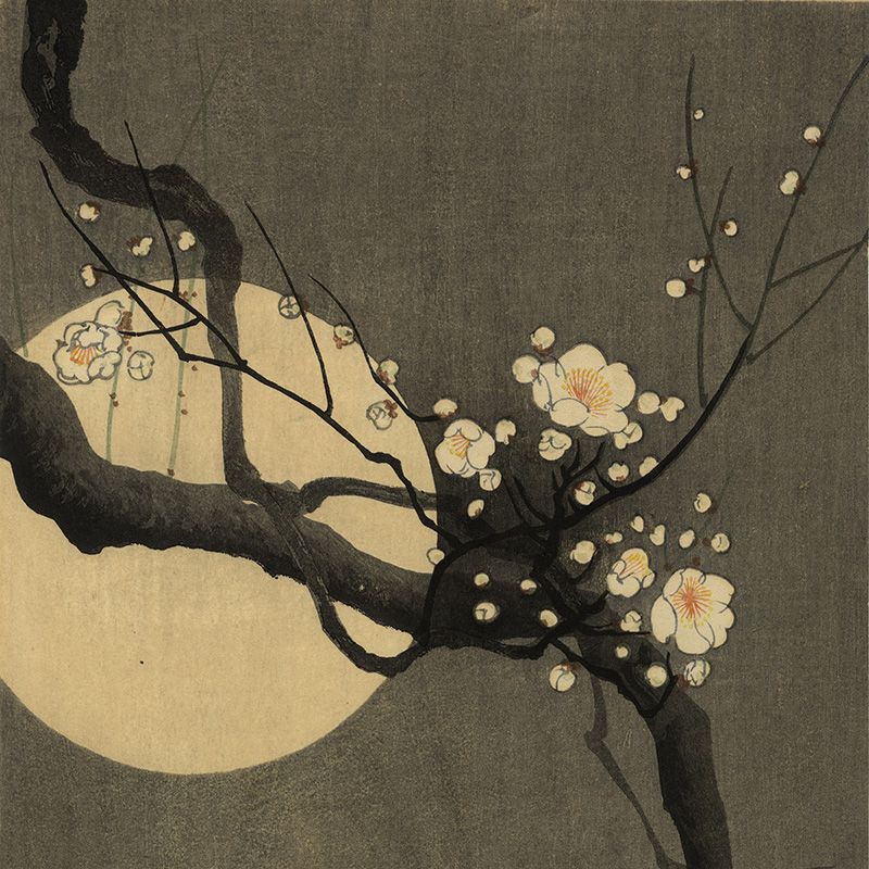 Japanese Gallery - Antique & Contemporary Japanese Woodblock Hand Prints & Anime Manga Related Pieces - Camden Passage